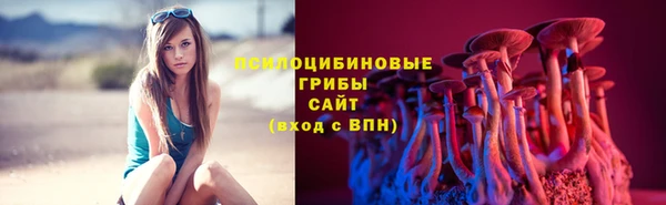 марихуана Абаза