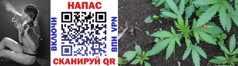 Шишки марихуана Bruce Banner  купить закладку  Никольское 